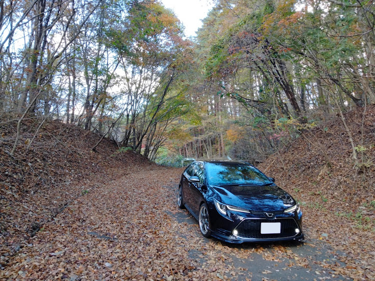 カローラのNRE210W・カローラセダン・マニュアル・ドライブ・紅葉に関するカスタム事例の投稿画像1枚目