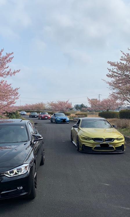 M4 クーペの3月13日・河津桜撮影会・88さん撮影・そーへいさん撮影・ごちさん撮影に関するカスタム事例の投稿画像1枚目
