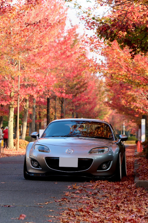 ロードスターの写活の秋・紅葉・11月もよろしくお願いします・紅葉と愛車に関するカスタム事例の投稿画像3枚目