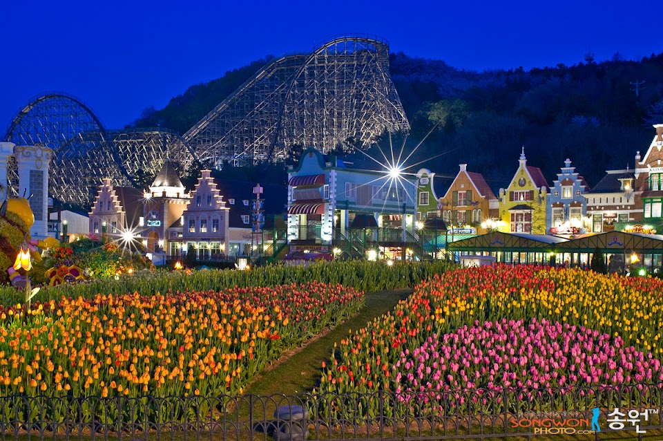 Korean Version of the Weekend Amusement Park