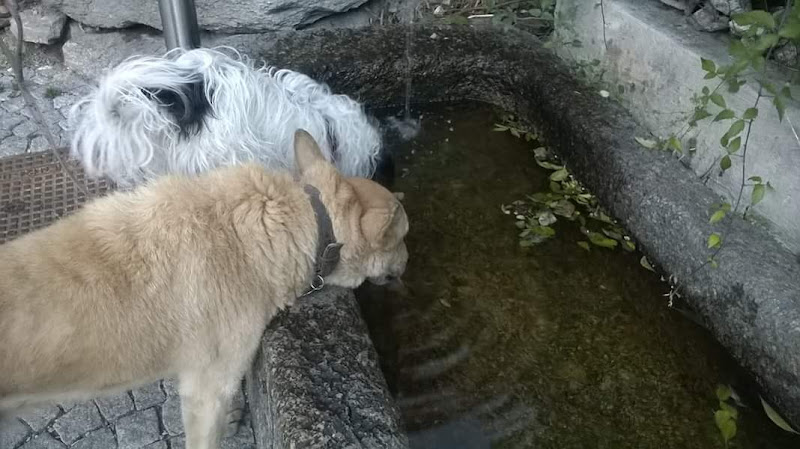 Acqua. Un bene comune di Chiara-10