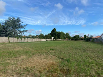 terrain à Sainte-Pazanne (44)