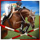 Download My Horse Racing Champions: Horse Jumping Simulator For PC Windows and Mac 1.0