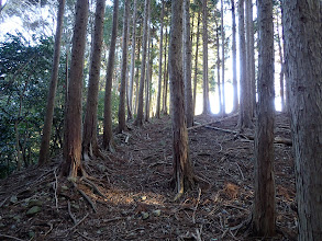 孫太尾根登山口にショートカット２