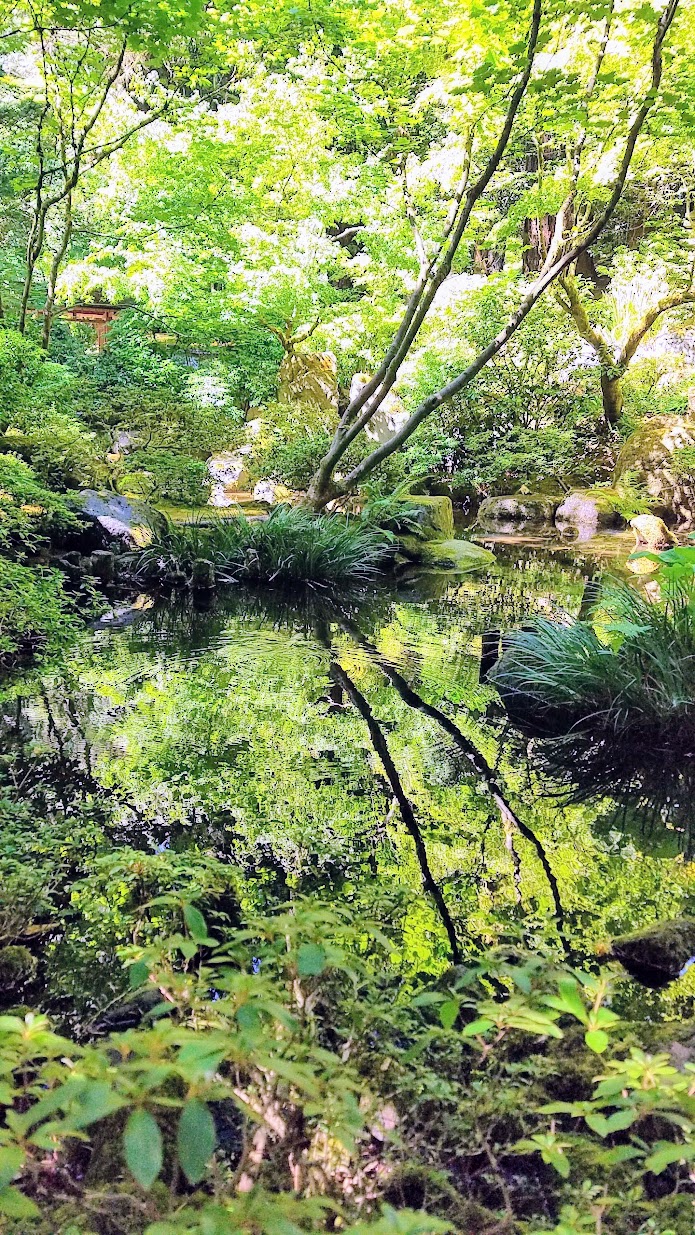 Visiting the Portland Japanese Garden