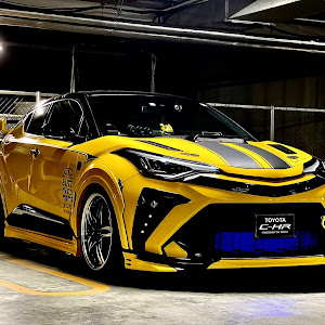 C-HR NGX10