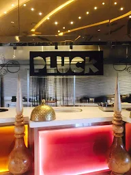 Pluck, Pullman New Delhi Aerocity photo 8