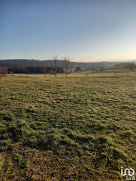 terrain à Montregard (43)