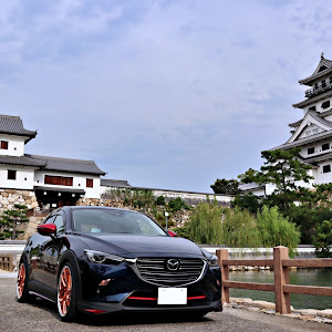 CX-3 DKEFW