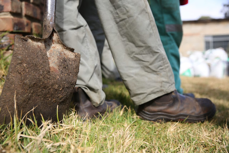 Eleven of Louis Grobler's farm labourers vouched for his conduct as an employer.