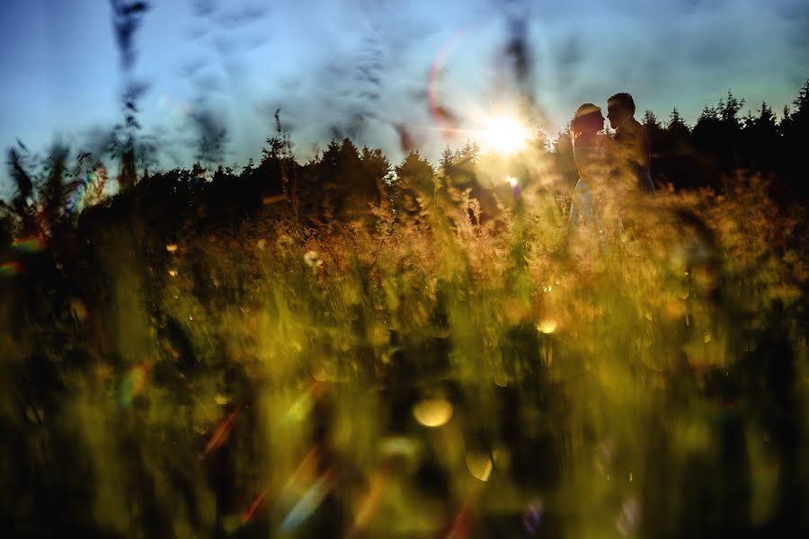 Vestuvių fotografas Steven Rooney (stevenrooney). Nuotrauka 2018 rugpjūčio 30