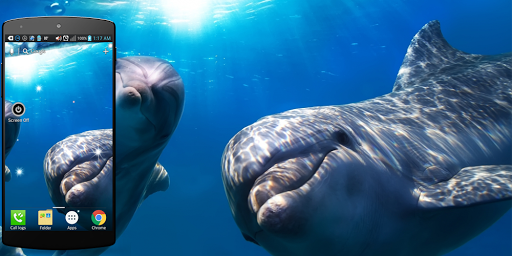 開心水族箱修改秘笈鑽石網: 修改魚