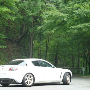 RX-8 SE3P