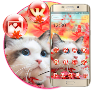 Pink Cute Kitty Theme 1.1.3 Icon