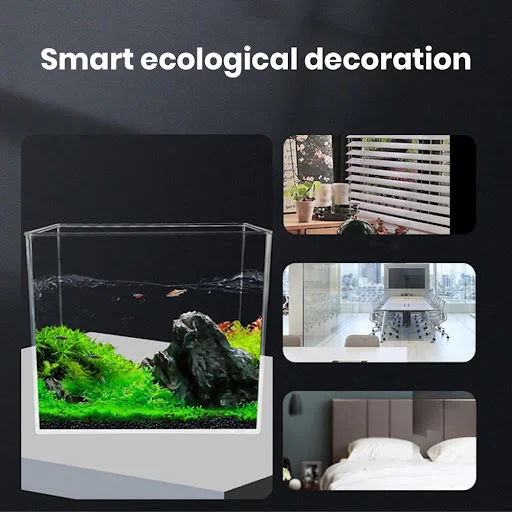 Ecological Landscape Aquarium High Transparency Desktop Aquatic Landscape Fish Tank for Home Decoration Small Aquarium f