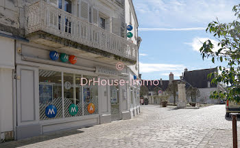 maison à Chatillon-sur-indre (36)