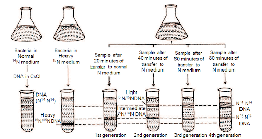 Solution Image