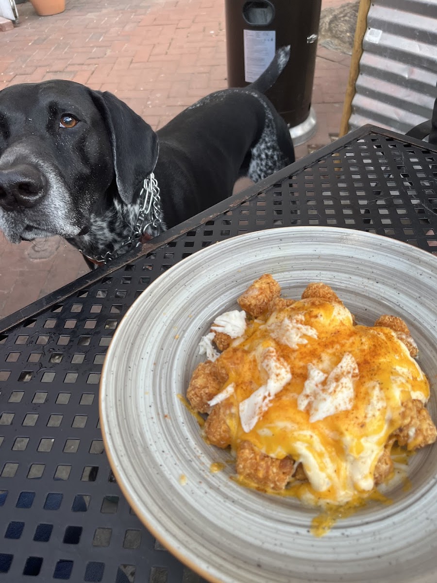 GF Maryland Crab Tots - a MUST try!