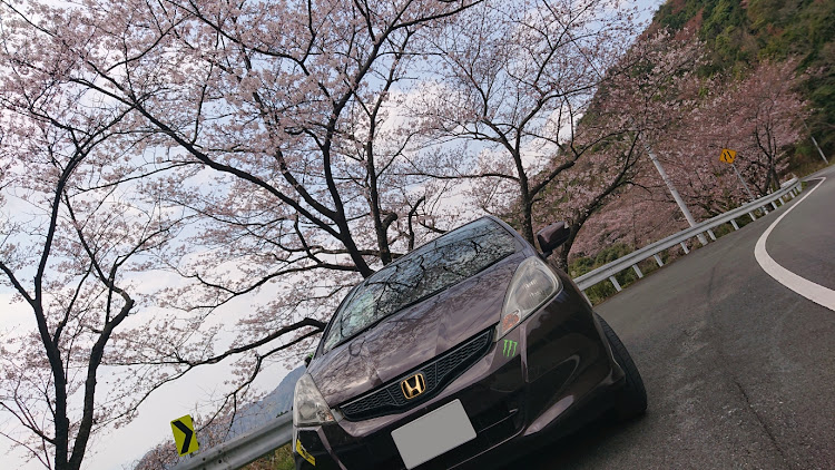 フィットの蒼イヌはっしィさんが投稿したカスタム事例の投稿画像1枚目
