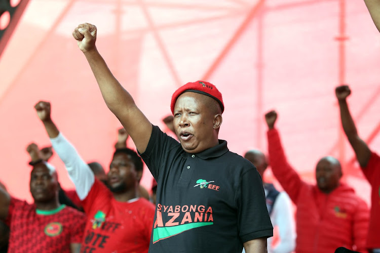 EFF leader Julius Malema