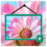 Cover Image of Tải xuống Video Live Wallpapers HD - VidWalls Pro 1.0 APK