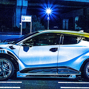 C-HR ZYX11