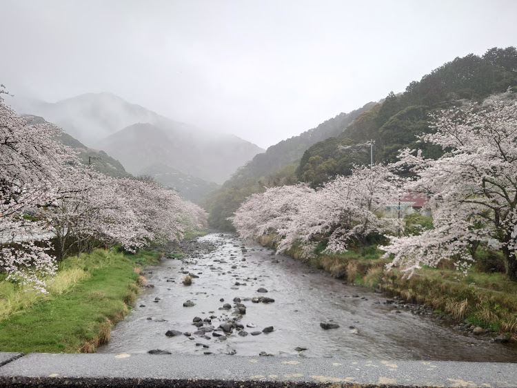 の投稿画像3枚目