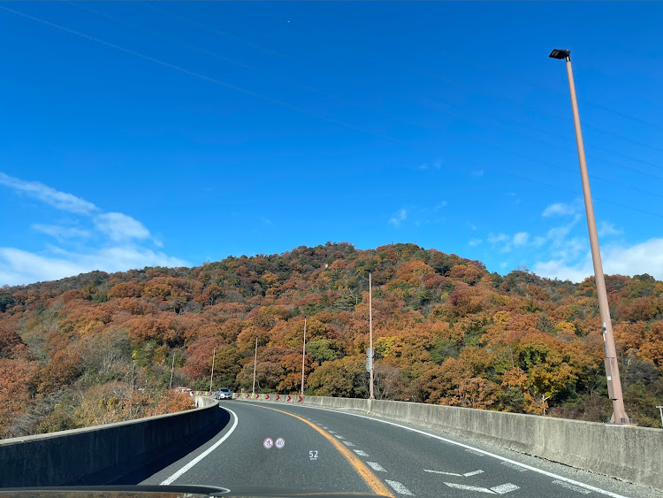 CX-60のうなぎ・塩化リ・芦有ドライブウェイ 展望台・紅葉クライマックス・紅葉に関するカスタム事例の投稿画像1枚目
