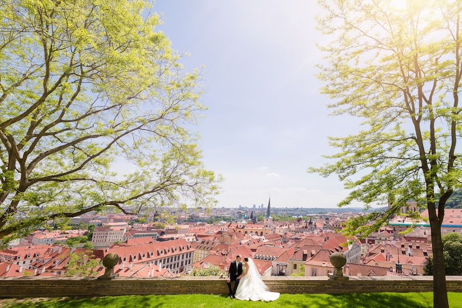 Hochzeitsfotograf Roman Lutkov (romanlutkov). Foto vom 26. Mai 2015