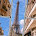 Solitaire Picture Puzzle HD icon