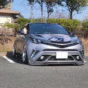 C-HR ZYX10