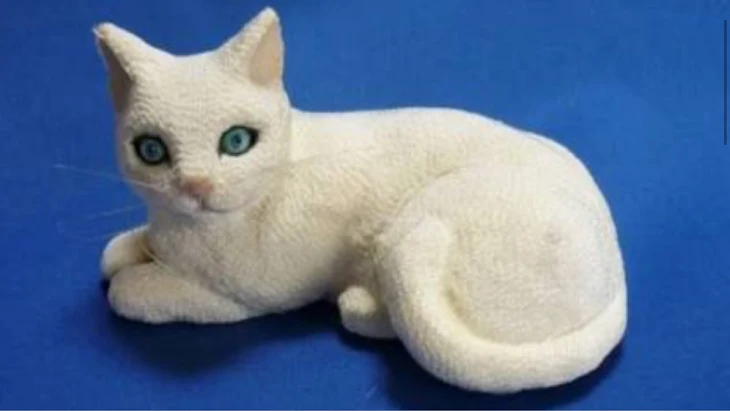 「幸せの青い目の猫」のメインビジュアル