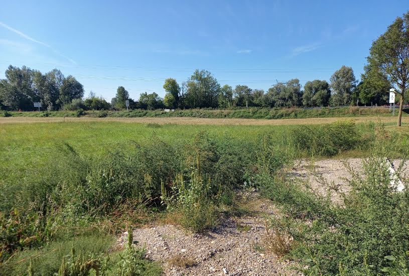  Vente Terrain + Maison - Terrain : 530m² - Maison : 110m² à Vogelgrun (68600) 