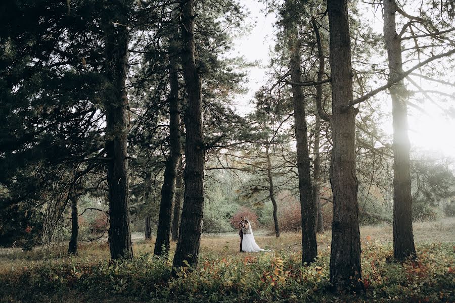 Wedding photographer Alex Italiantsev (italiantsev). Photo of 31 October 2023