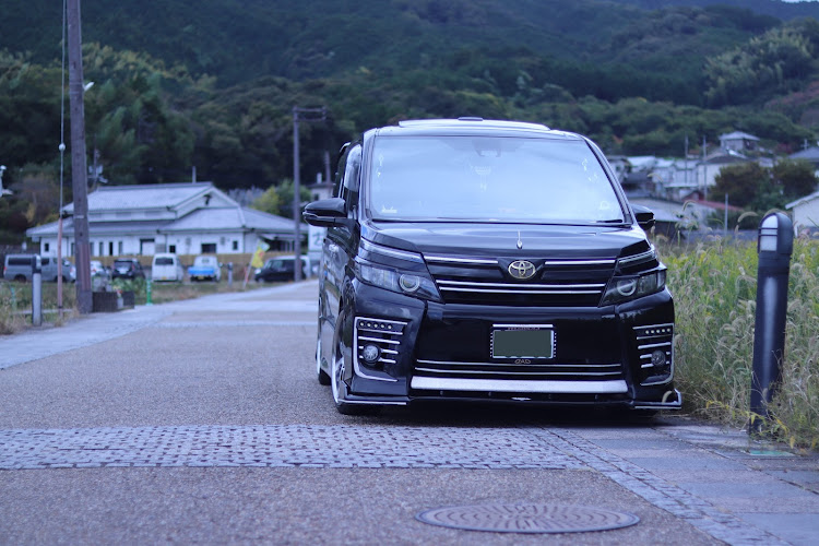 ヴォクシーのカメ活ドライブ・単焦点初心者・望遠レンズの世界・コスモス畑と愛車・風景ボカシに関するカスタム事例の投稿画像15枚目