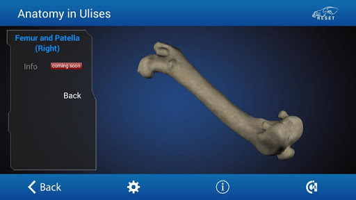 免費下載醫療APP|Osteology in Dogs app開箱文|APP開箱王