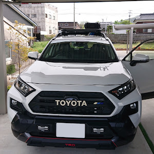 RAV4 MXAA54