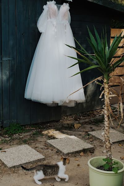 Wedding photographer Bea Zelenák (myes). Photo of 16 November 2023