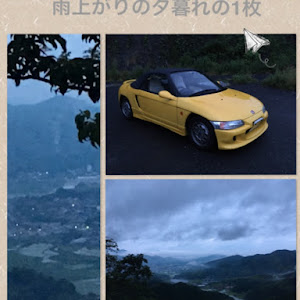 ビート