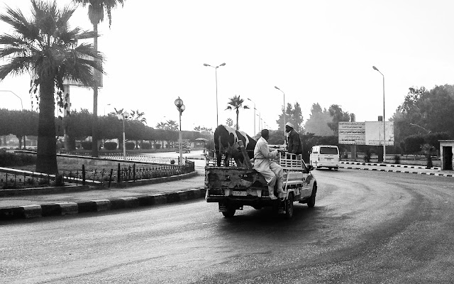 Trasporto eccezionale di bepi1969