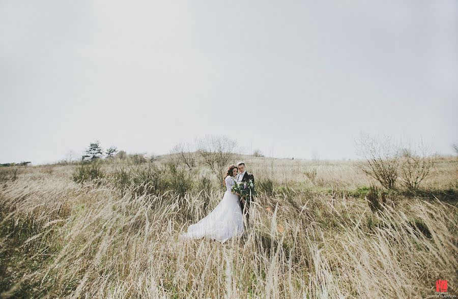 Fotografo di matrimoni Vladislav Ziynich (iphoto2016). Foto del 3 aprile 2016