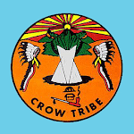 Crow Apsaalooké Apk