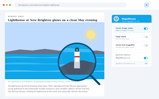 MagniMouse: Three magnifiers in one screenshot 1