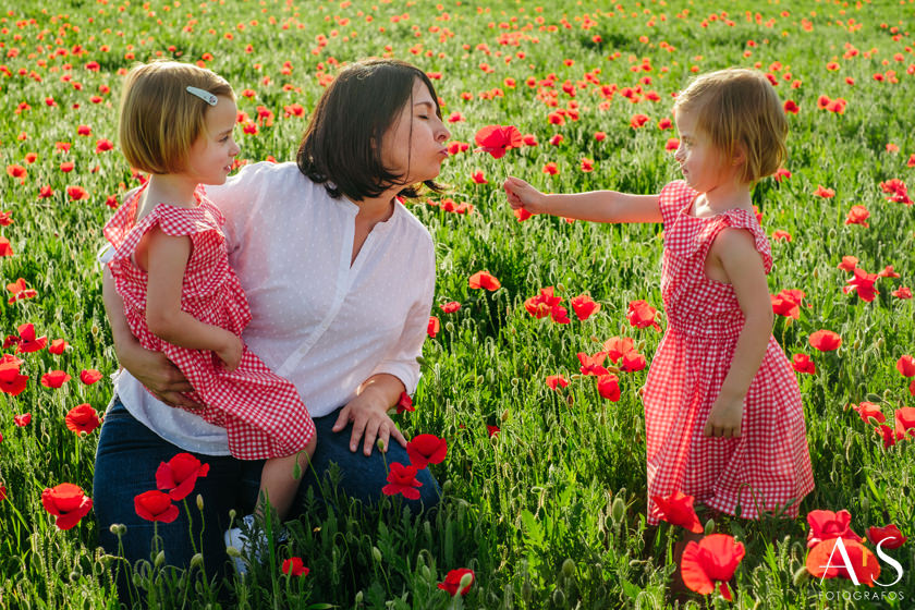 En un campo de amapolas