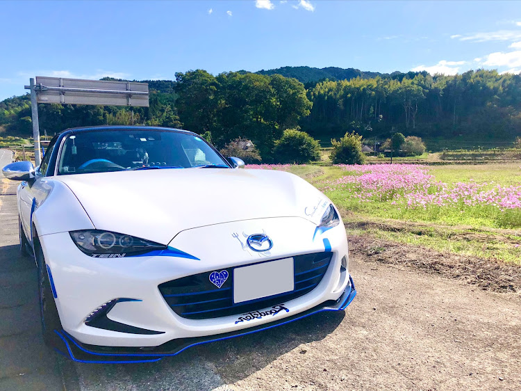 ロードスターのコスモス🌸コラボ・医療従事者にエールを❗️・コロナウイルスに負けるな・two-kに関するカスタム事例の投稿画像2枚目