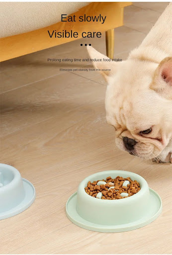 Title 3, Slow Feed Pet Bowl for Cats and Dogs, Prevents ...