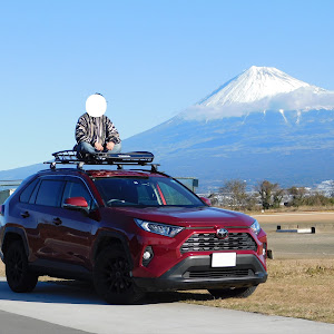 RAV4 MXAA52