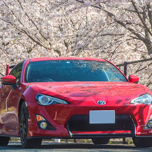 86 ZN6