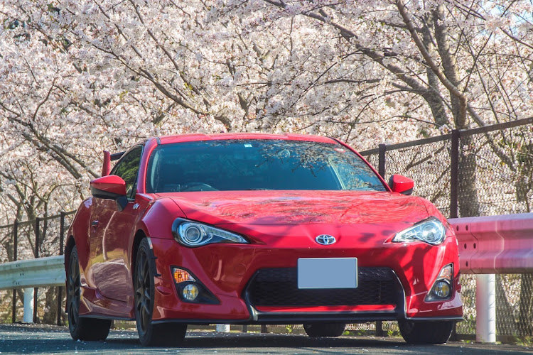 86のサクラと愛車・いつもイイネ&コメントありがとうございます🙇‍♂️・ル・マン 100周年・ホイール交換・新しい家族が増えましたに関するカスタム事例の投稿画像1枚目
