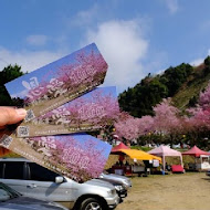 牛車水風味餐廳